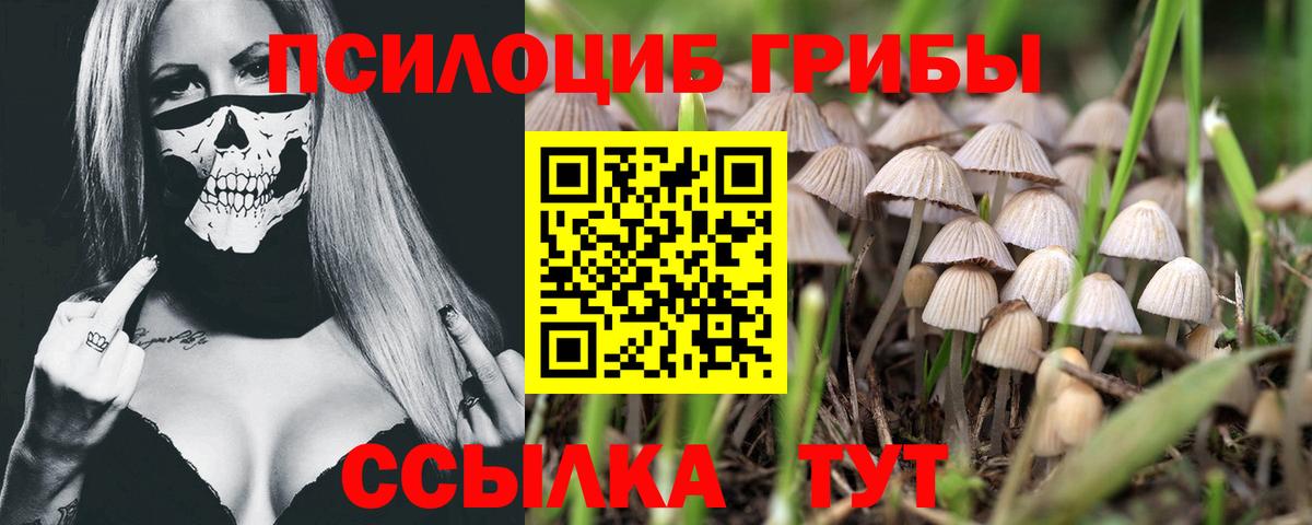 Псилоцибиновые грибы GOLDEN TEACHER Пятигорск